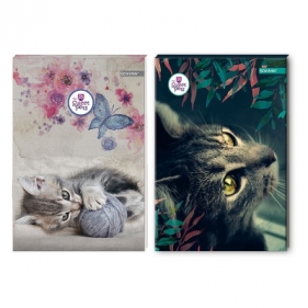 Notes Beniamin The sweet pets - kot A6 96 k. krata (608630)
