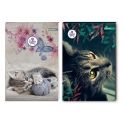 Notes Beniamin The sweet pets - kot A6 96 k. krata (608630)
