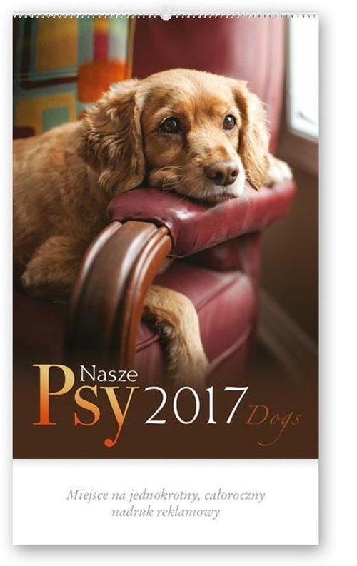 Kalendarz 2017 RW 30  Nasze psy