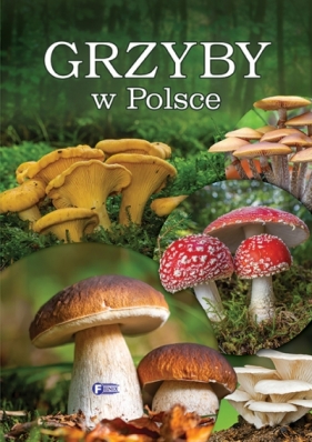 Grzyby w Polsce - Opracowanie zbiorowe
