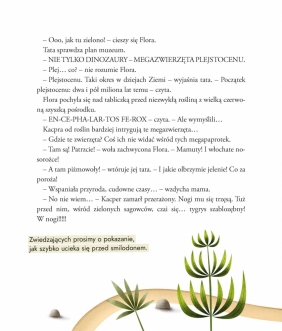 Flora w muzeum - Gabriela Rzepecka-Weiss