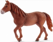 Schleich 13870 Klacz rasy morgan