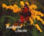 Radosne chwile. Perełka 46