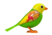 DigiBirds z ramką Bella