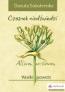 Czosnek niedźwiedzi - Allium ursinum Wielki powrót Sobolewska Danuta