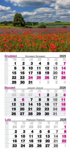 Kalendarz 2026 ścienny trójdzielny Maki