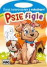 Świat kolorowanek z naklejkami. Psie figle Artur Rajch