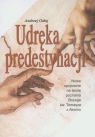 Udręka predystynacji Nowe spojrzenie na teorię poznania Bożego św. Gałaj Andrzej