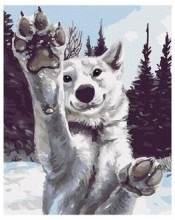 Malowanie po numerach: Śliczny wilk (40 x 50 cm)