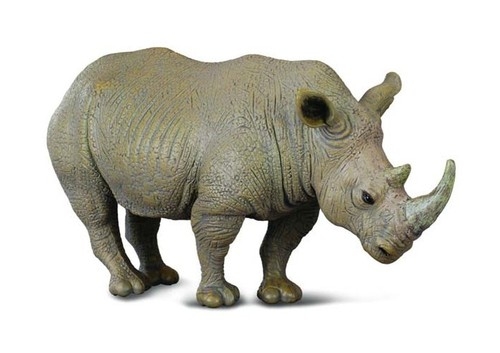 Nosorożec szary (004-88031)