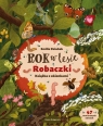  Rok w lesie. Robaczki. Książka z okienkami