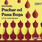 Puchar od Pana Boga (Audiobook) - Ota Pavel