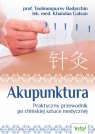 Akupunktura Praktyczny przewodnik po chińskiej sztuce medycznej Badarchin Tsolmonpurev, Galsan Khandaa