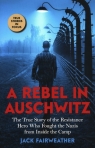 A Rebel in Auschwitz