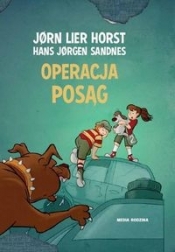 Operacja Posąg - Jørn Lier Horst