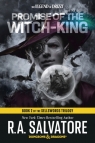 Promise of the Witch King: Dungeons & Dragons R.A. Salvatore