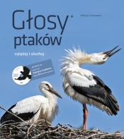 Głosy ptaków Tom 1 + CD - Andrzej G. Kruszewicz