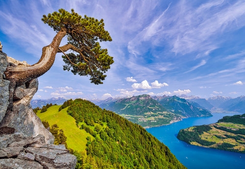 Puzzle 1000 View of the Lake of Uri, Switzerland