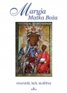 Maryja Matka Bożawizerunki, kult, modlitwy Włodarczyk Robert, Włodarczyk Joanna, Krzyżanowski Teofil