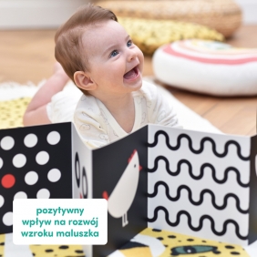 CzuCzu. Starter malucha: Co widzę 0-3-6 mies.+