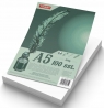 Brystol A5 250g 100 ark
