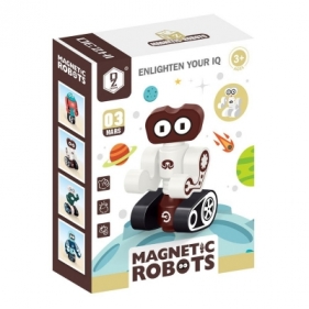 Robot magnetyczny (125312)