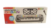 Organki z mikrofonem