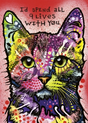 Heye, Puzzle 1000: Jolly Pets - Kot (29731)