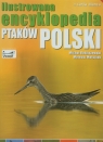 Ilustrowana encyklopedia ptaków Polski Radziszewski Michał, Matysiak Mateusz