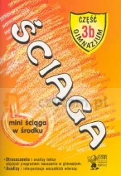 Ściąga 3b