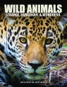 Wild Animals Tom Jackson, Madden Barry
