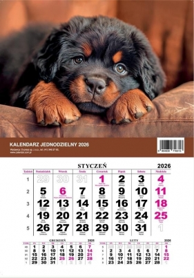 Kalendarz jednodzielny - Pies