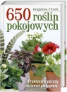 650 roślin pokojowych Praktyczne porady na temat pielęgnacji Throll Angelika