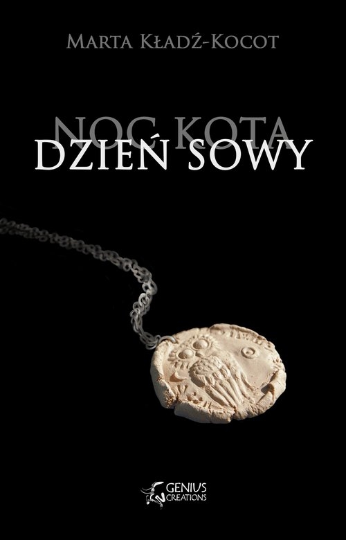 Noc kota dzień sowy