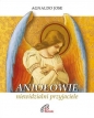 Aniołowie, niewidzialni przyjaciele - Agnaldo Jose
