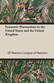 Economic Fluctuations in the United States and the United Kingdom