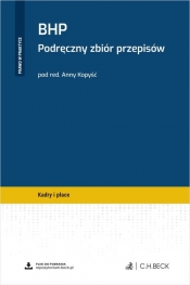 BHP. Podręczny zbiór przepisów + wzory do pobrania