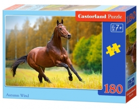 Puzzle 180: Autumn Wind (B-018314)