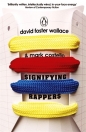 Signifying Rappers - David Foster Wallace, Mark Costello