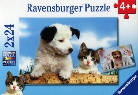 Puzzle Prawdziwi przyjaciele 2x24 (089314)
