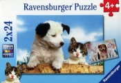 Puzzle Prawdziwi przyjaciele 2x24 (089314)
