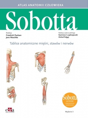 Tablice anatomiczne mięśni, stawów i nerwów. Łacińskie mianownictwo - Friedrich Paulsen, Jens Waschke