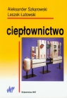 Ciepłownictwo