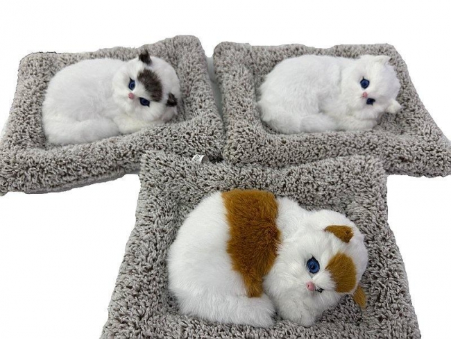 <img src='https://webimage.pl/pics/315/1/d5901271621008.jpg'>