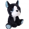 Boston Terrier Ranger 15 cm