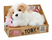 SCRUFFIES Toby i przyjaciel (VIV-31242-2)