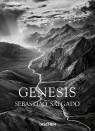 Salgado, Genesis