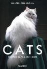 Cats Photographs 1942-2018 Walter Chandoha