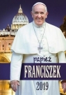 Kalendarz 2019 Ścienny papież Franciszek mały praca zbiorowa