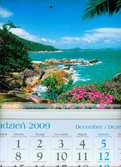 Kalendarz 2010 KT11 Tropiki trójdzielny